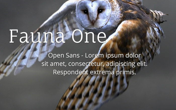 fauna-one-open-sans