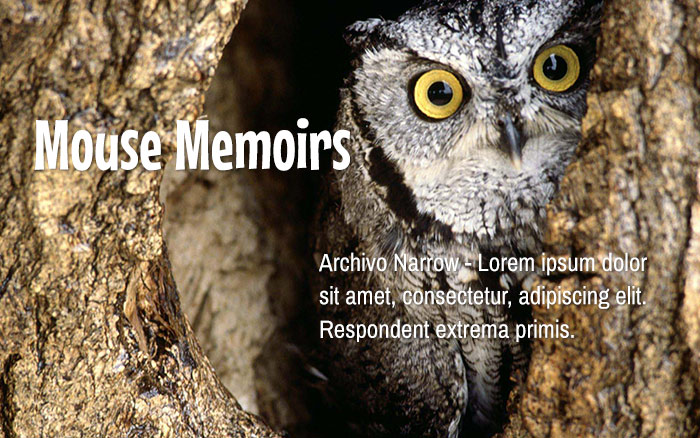 mouse-memoirs-archivo-narrow