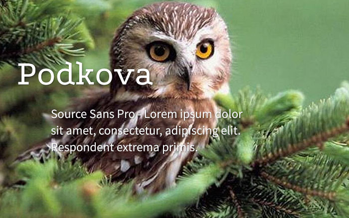 podkova-source-sans-pro